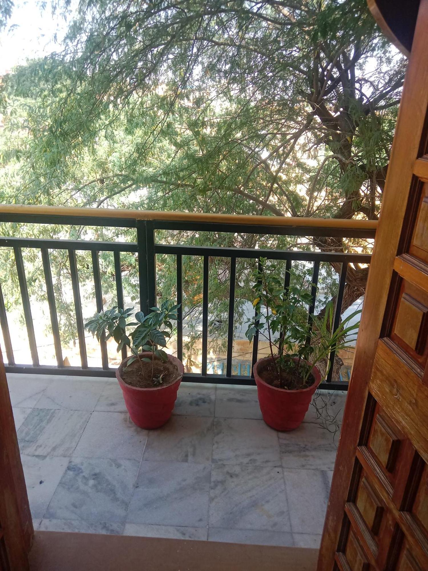 Hotel Neem Haveli Jaisalmer Esterno foto