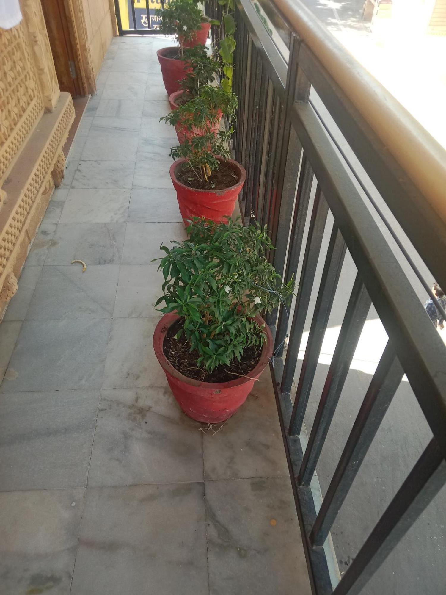 Hotel Neem Haveli Jaisalmer Esterno foto
